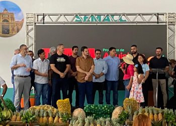 Renatinho Junior entrega alimentos