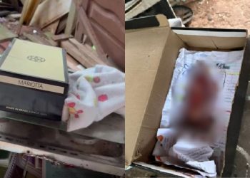 Feto é encontrado dentro de caixa de sapatos em residência de Itacoatiara