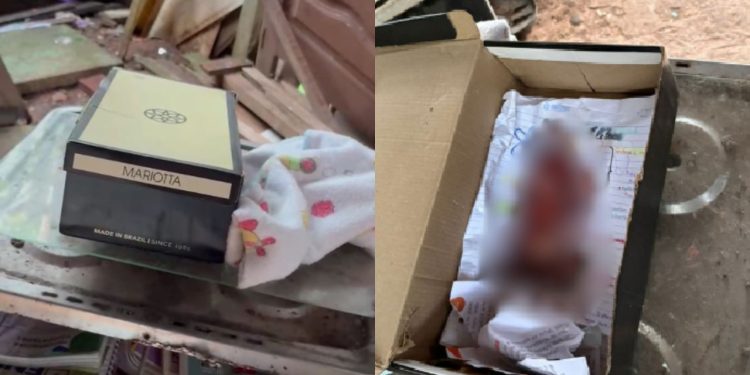 Feto é encontrado dentro de caixa de sapatos em residência de Itacoatiara