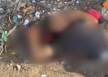 Em Maués, feirante encontra corpo jogado com c0rte no pescoço