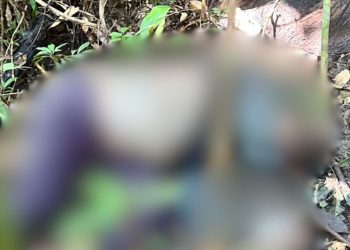 Horas após primeiro cadáver, segundo corpo é encontrado em área de mata no Tarumã