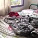 Diarista é esfaqueada durante faxina e adolescente de 15 anos é apreendida em Manaus