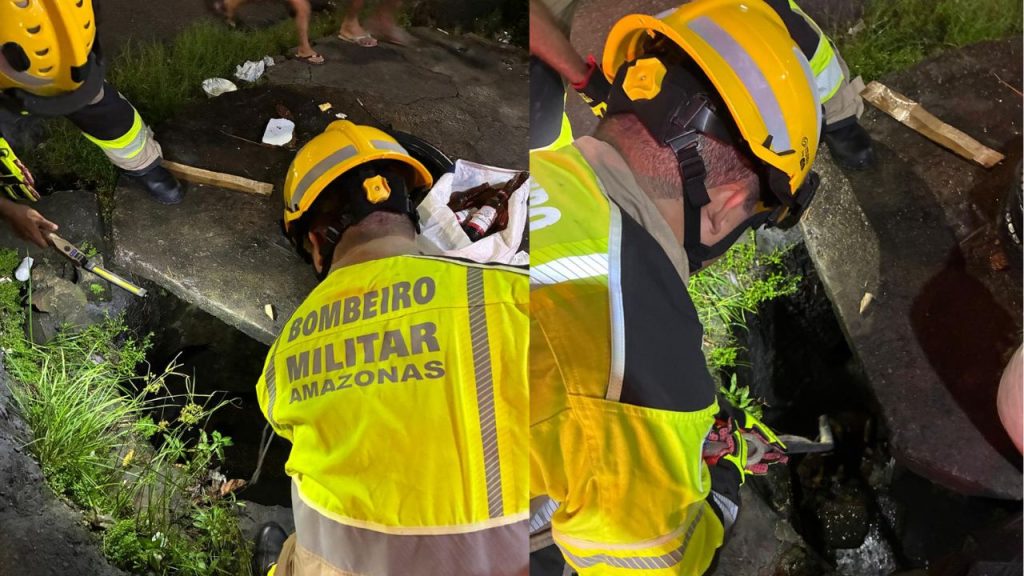 Bombeiros salvam cachorros que caíram em bueiro após briga em Manaus