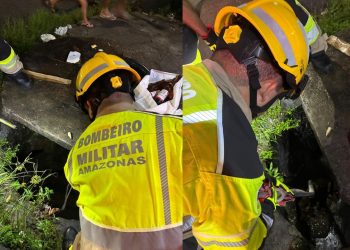 Bombeiros salvam cachorros que caíram em bueiro após briga em Manaus