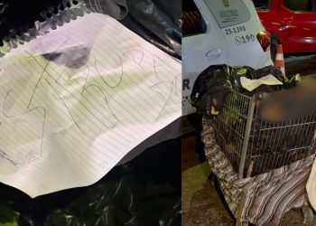 Veja: em carrinho de supermercado na Compensa, homem é achado morto com bilhete: “est*pr4d0r”