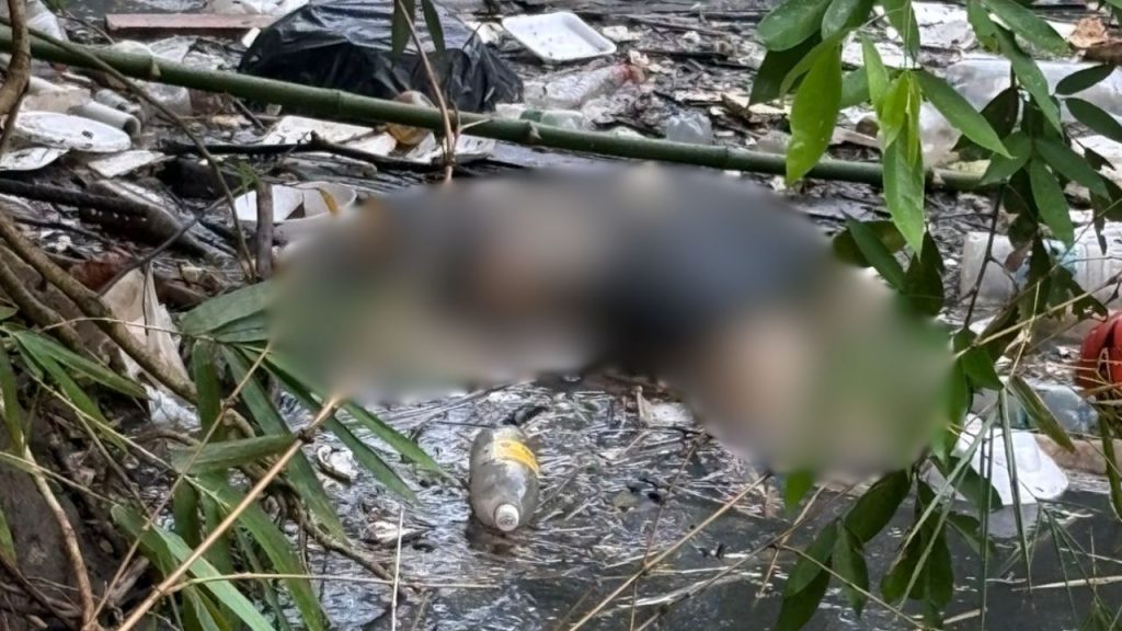 Com sinais de tortura, mulher trans é achada em igarapé na Constantino Nery