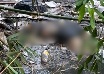 Com sinais de tortura, mulher trans é achada em igarapé na Constantino Nery