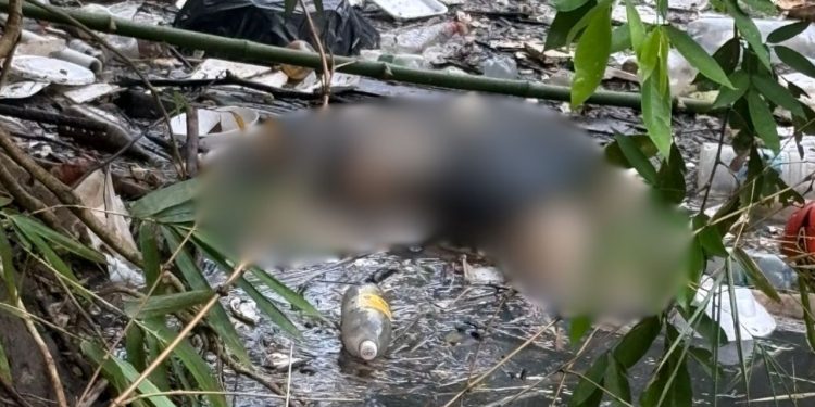 Com sinais de tortura, mulher trans é achada em igarapé na Constantino Nery