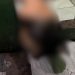 No Crespo, tia encontra sobrinho de 27 anos morto no banheiro de casa