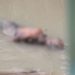 Corpo com mãos amarradas é encontrado em igarapé sob a Ponte do 7 em Manaus; Veja