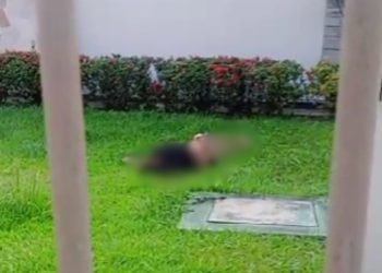 Ao tentar furtar cabos, homem morre eletrocutado em Manaus