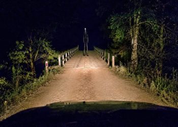 A criatura que assombra os viajantes na BR-319