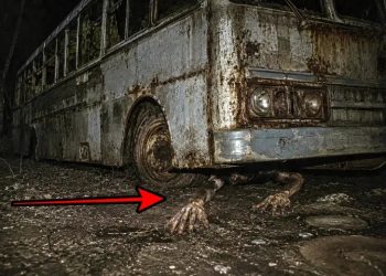 O monstro da BR-174