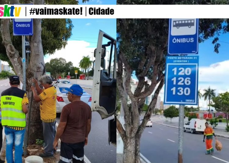 Novas placas de linhas de ônibus melhoram orientação de usuários na Ponta Negra