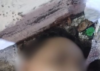 Vulgo “Lorinho” é encontrado morto com golpes de faca na zona oeste de Manaus