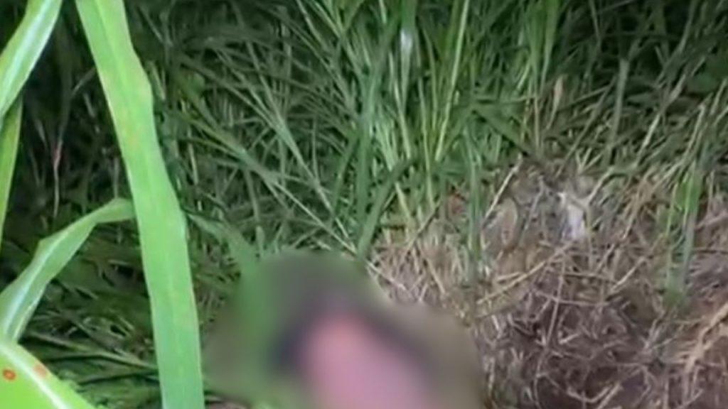 Entre velas, homem é achado morto em terreno no Alfredo Nascimento
