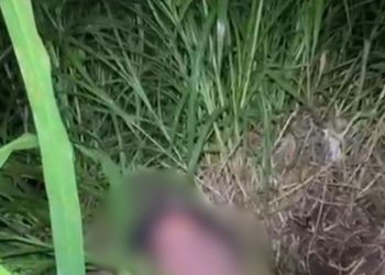 Entre velas, homem é achado morto em terreno no Alfredo Nascimento