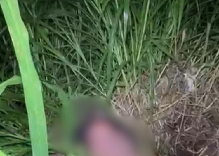 Entre velas, homem é achado morto em terreno no Alfredo Nascimento