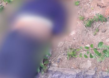 Tiros na cabeça: homem é encontrado morto em terreno na Ponta Negra; veja