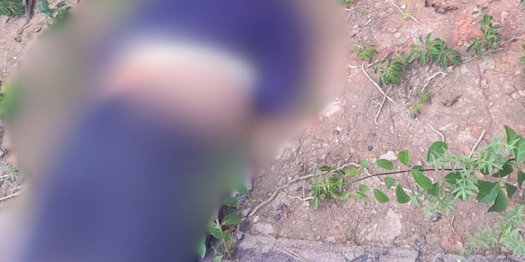Tiros na cabeça: homem é encontrado morto em terreno na Ponta Negra; veja