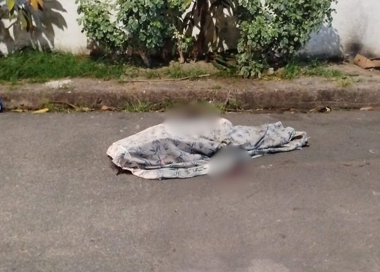 Dois tiros na cabeça matam homem na zona sul de Manaus
