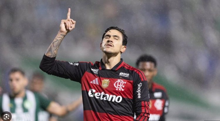 PÁRA PEDRO, PEDRO PÁRA! – Estrangeiros questionam ausência dele na Copa