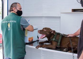 Inicia nesta quarta(15), o serviço de castração da Prefeitura de Manaus