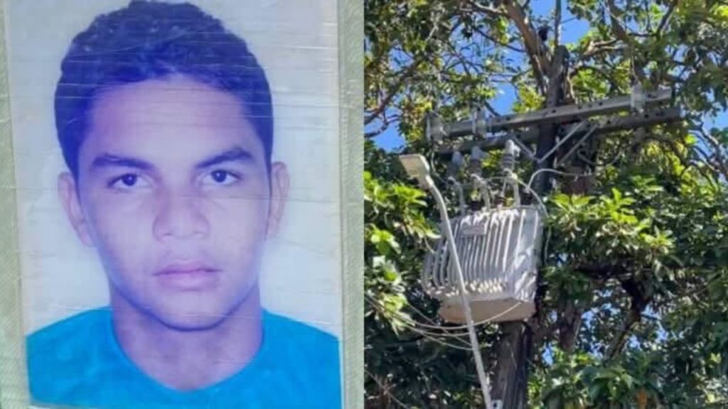 Ao subir em árvore para colher abacate, homem sofre choque elétrico fatal em Manaus