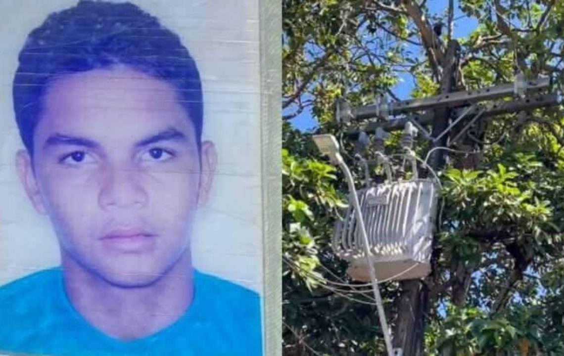 Ao subir em árvore para colher abacate, homem sofre choque elétrico fatal em Manaus