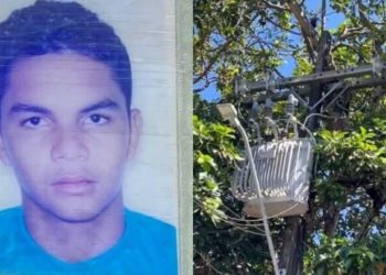 Ao subir em árvore para colher abacate, homem sofre choque elétrico fatal em Manaus