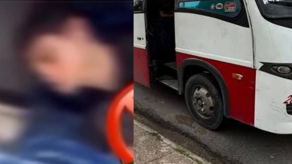 Em Manaus, casal transforma micro-ônibus em motel e choca passageiros