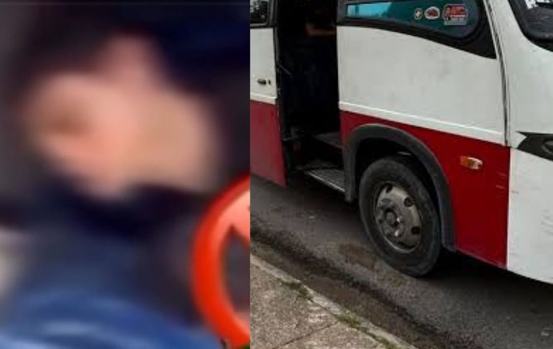 Em Manaus, casal transforma micro-ônibus em motel e choca passageiros
