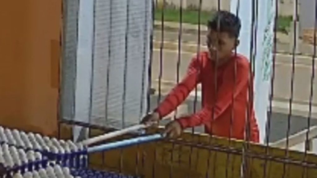 Vídeo mostra jovem improvisando 'vara de pesca' para furtar ovos em comércio no AM