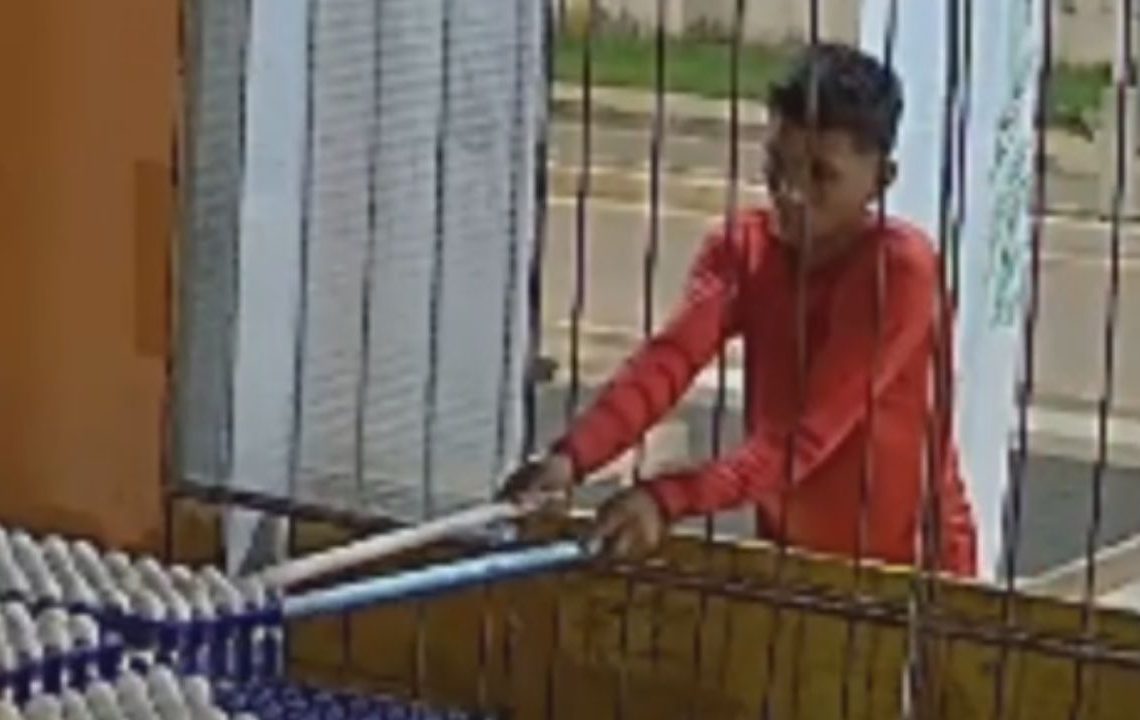 Vídeo mostra jovem improvisando 'vara de pesca' para furtar ovos em comércio no AM