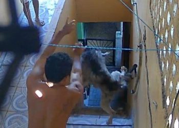 Veja: Após ser flagrado jogando cachorro de escada, homem acaba preso em Manaus