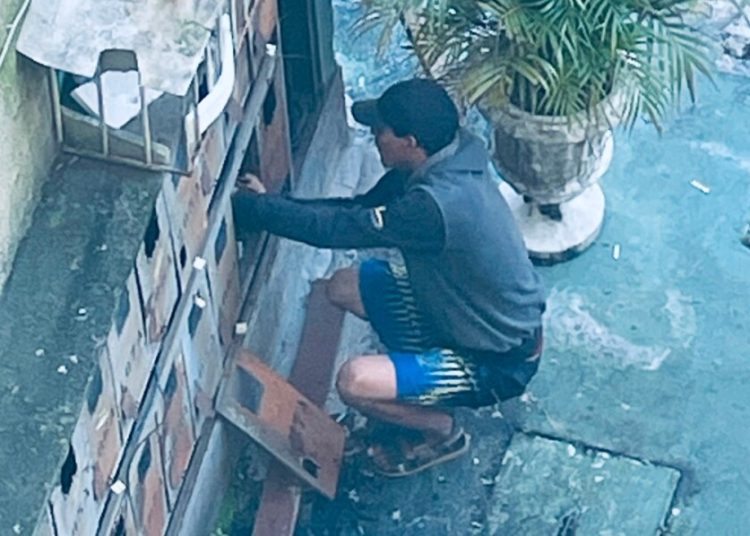 ‘VIVER PIOR’ 2 – Moradores vivem clima de insegurança com assaltos