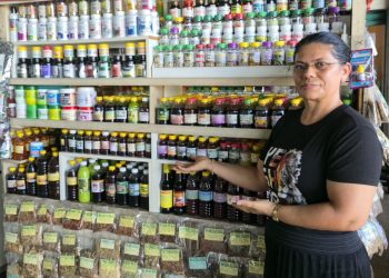 Feira Modelo da Compensa: o destino certo para quem busca produtos naturais