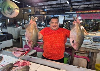 Feira da Betânia: tradição, economia e sabor na zona Sul de Manaus