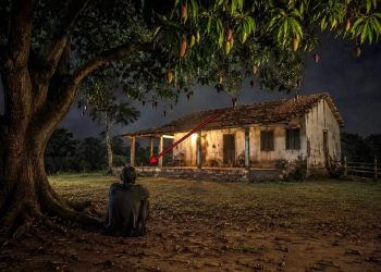 A vizage da mangueira no Ramal do Brasileirinho