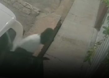 criminosos invadem casa de jornalista no Aleixo e fazem família refém