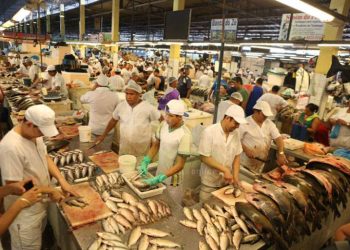 Domingo de calor e peixe custando ‘os olhos da cara’ nas feiras de Manaus