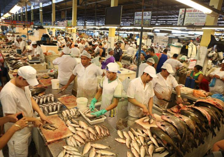 Domingo de calor e peixe custando ‘os olhos da cara’ nas feiras de Manaus
