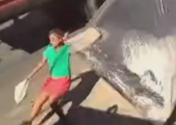 Vídeo mostra cama despencando de caminhão e atingindo mulher em Parintins