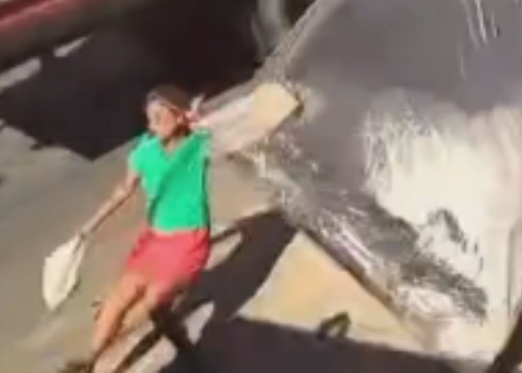 Vídeo mostra cama despencando de caminhão e atingindo mulher em Parintins