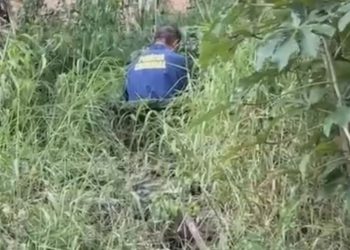 Em cova rasa, feto é encontrado em terreno baldio no bairro João Paulo